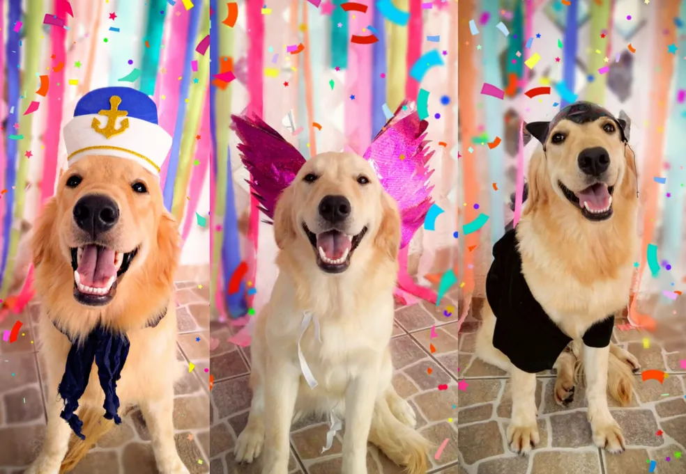 Pets no Carnaval: 5 cuidados para levar o cãozinho para a folia