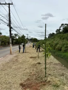 Prefeitura de Poá Promove Plantio de Árvores Nativas para Preservação Ambiental e Combate ao Descarte Irregular