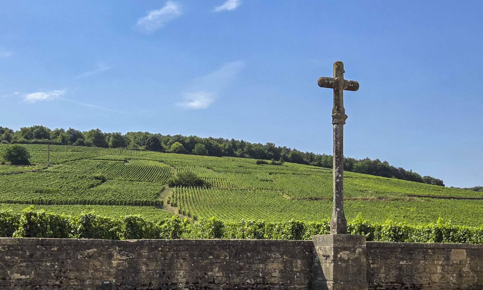 Romanée-Conti 1945 alcança valor recorde de R$ 4 milhões e consolida Borgonha no topo dos leilões de vinho - Imagem do artigo