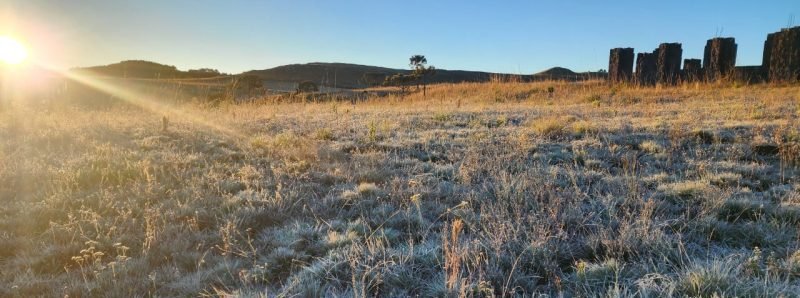 Madrugada de -7 °C cobre a Serra Catarinense de geada e estabelece recorde de frio em 2026 - Imagem do artigo original