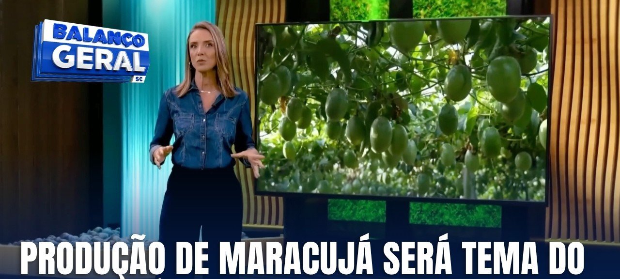 Produção de maracujá impulsiona economia de Santa Catarina e consolida novo polo frutícola - Imagem do artigo
