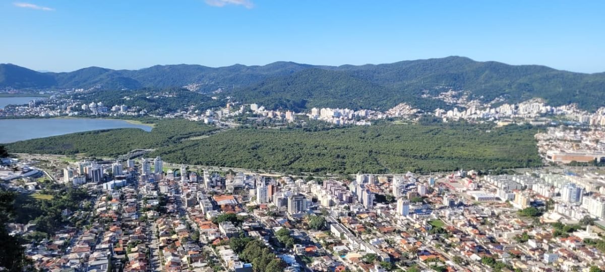 Mortandade de Peixes no Manguezal do Itacorubi Revela Déficit de Saneamento em Florianópolis - Imagem do artigo