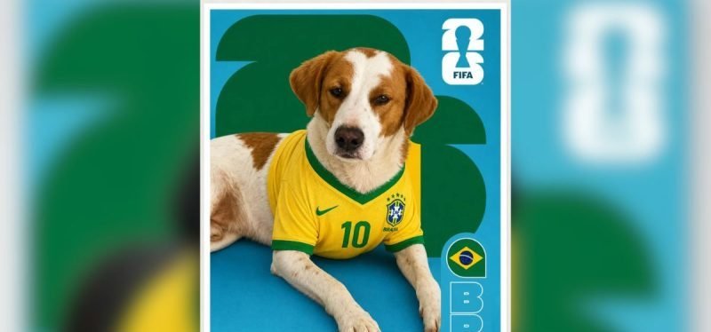 Figurinhas da Copa do Mundo viram estratégia de adoção para 12 cães em abrigo de Itajaí - Imagem do artigo original