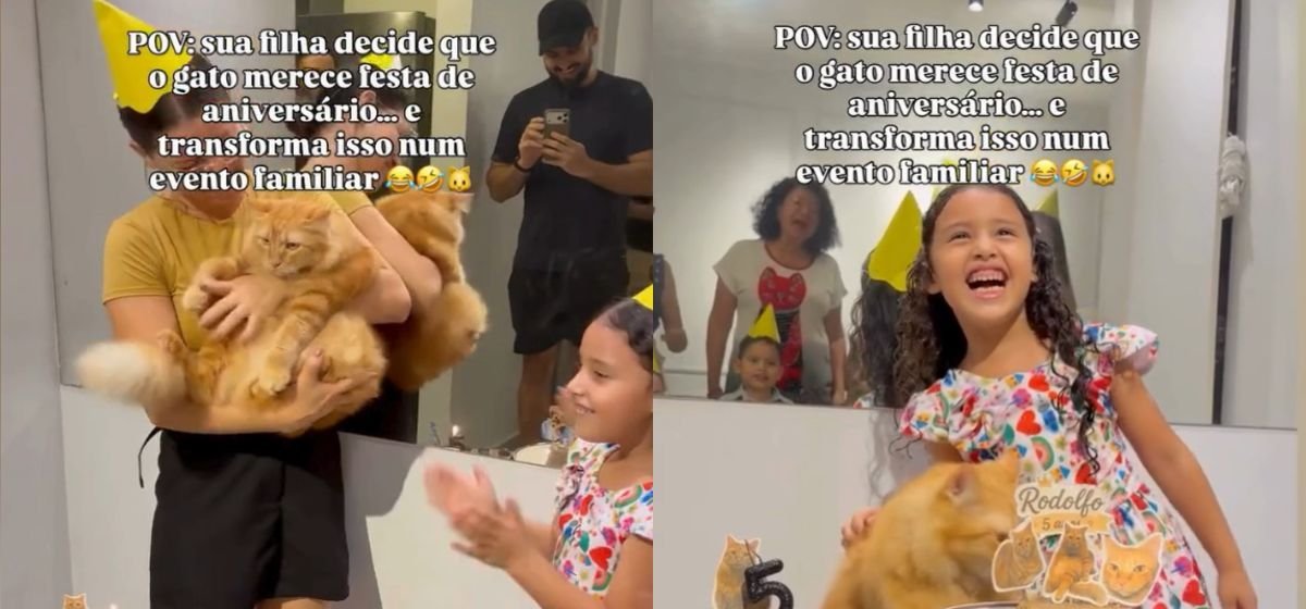 Aniversário inusitado de gato reúne família e ultrapassa 100 mil visualizações - Imagem do artigo original