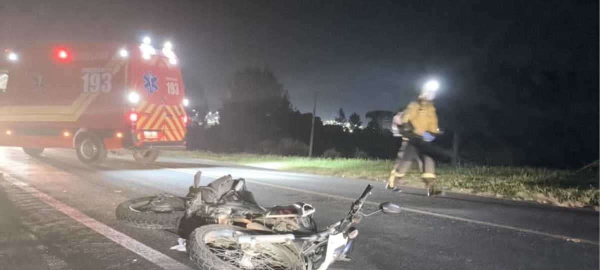 Cervo invade pista e provoca colisão com motociclista na BR-282, em Ponte Serrada - Imagem do artigo
