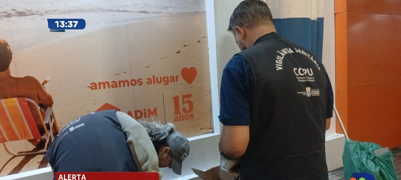 Surto de escorpiões leva Balneário Camboriú a intensificar ações de prevenção no Litoral Norte de SC - Imagem do artigo