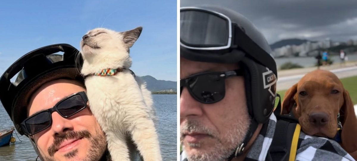 Animais de estimação ganham as redes ao acompanharem tutores em moto e bicicleta em Florianópolis - Imagem do artigo