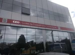 ceo